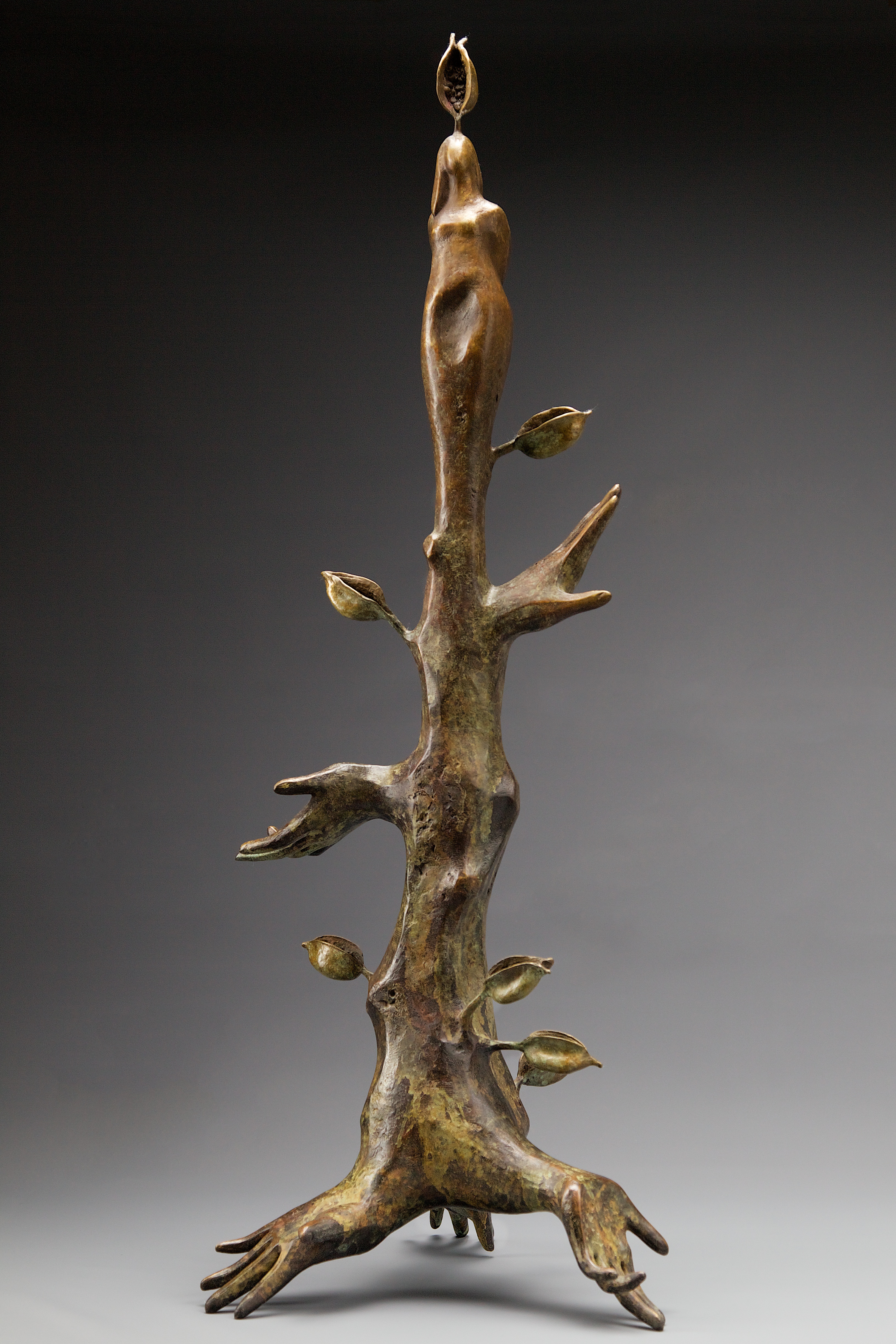 <b>roots and all</b>37 x 14 x 14 inches, bronze, <em>edition of 12</em>